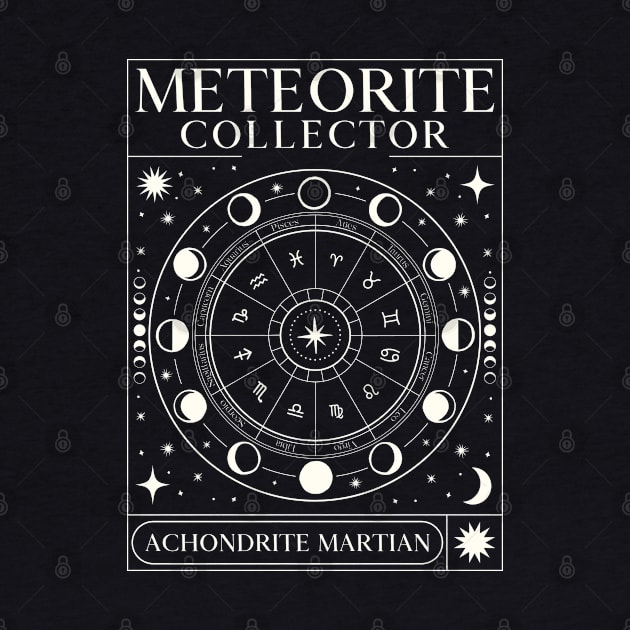 This Meteorite Collector Achondrite Martian Meteorite Meteorite by Meteorite Factory